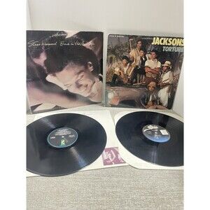 Lot Of 2 Records Stevie Wonder Michael Jackson Complete